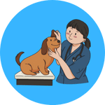 Pet Stain & Odor Cleaning